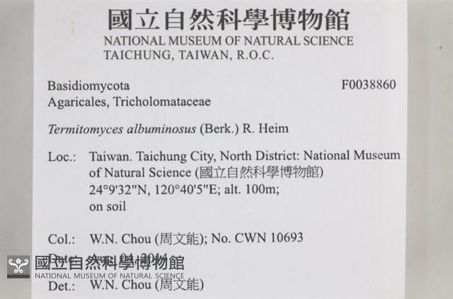 登錄號:F0038860藏品圖，第2張