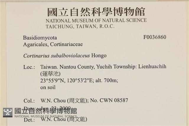 登錄號:F0036860藏品圖，第2張