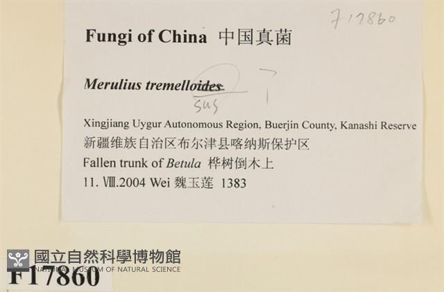 登錄號:F0017860藏品圖，第2張