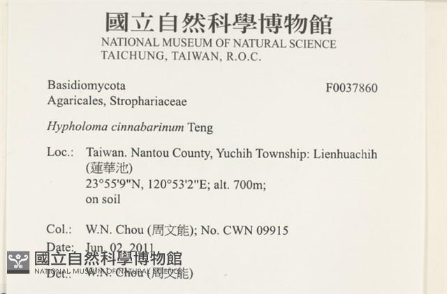 登錄號:F0037860藏品圖，第2張