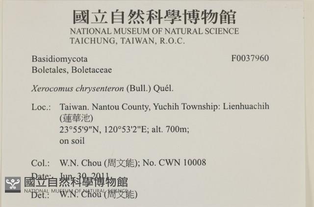 登錄號:F0037960藏品圖，第2張