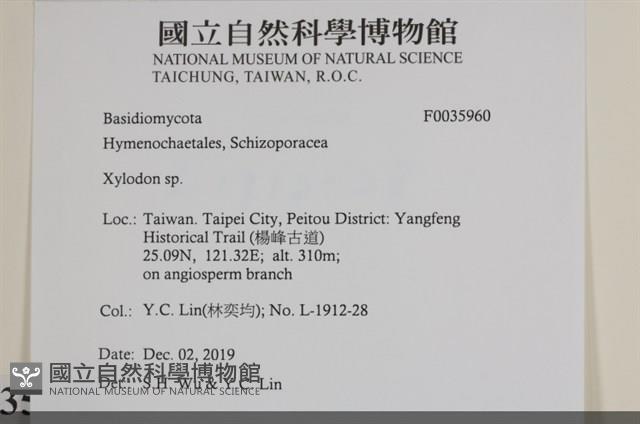 登錄號:F0035960藏品圖，第2張