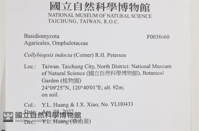 登錄號:F0038660藏品圖，第2張