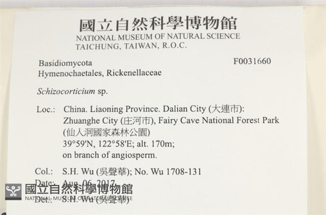 登錄號:F0031660藏品圖，第3張