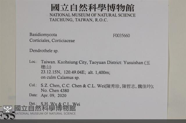 登錄號:F0035660藏品圖，第2張