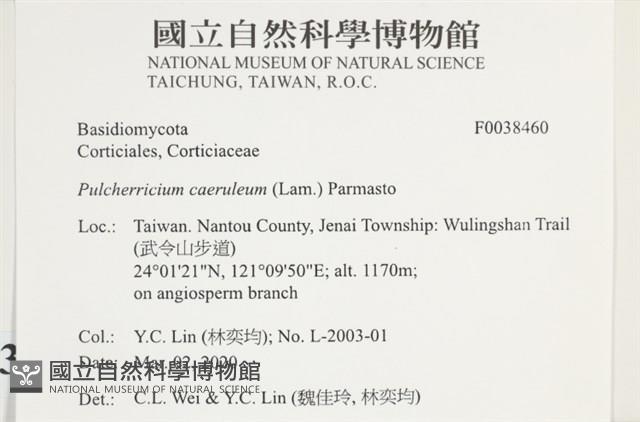 登錄號:F0038460藏品圖，第2張