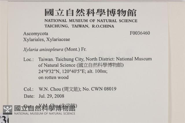 登錄號:F0036460藏品圖，第2張
