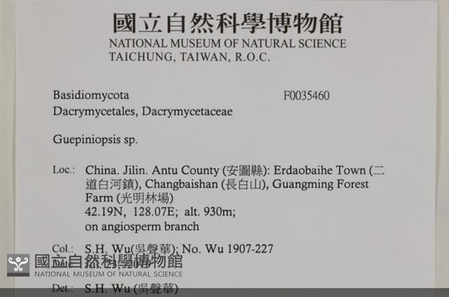 登錄號:F0035460藏品圖，第2張