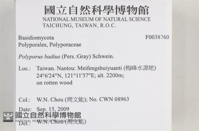 登錄號:F0038760藏品圖，第2張