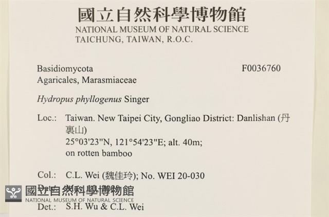 登錄號:F0036760藏品圖，第2張