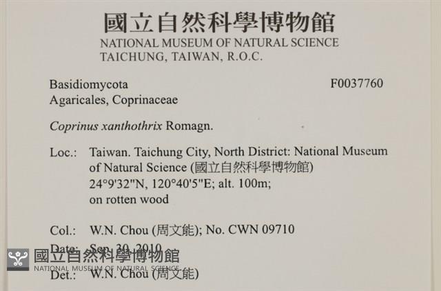登錄號:F0037760藏品圖，第2張
