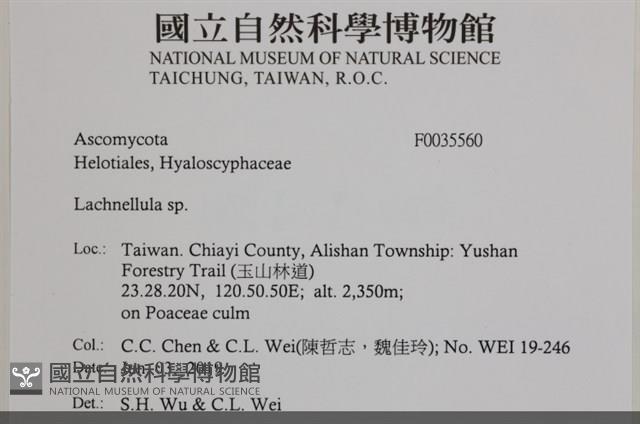 登錄號:F0035560藏品圖，第2張