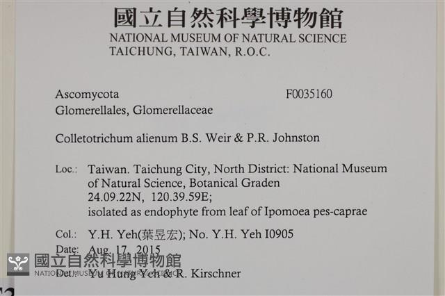 登錄號:F0035160藏品圖，第2張