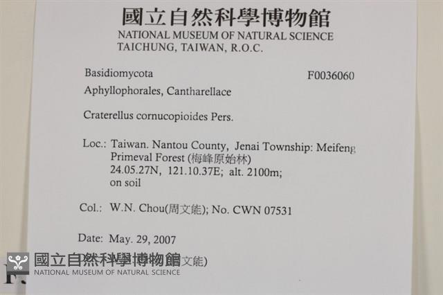 登錄號:F0036060藏品圖，第2張
