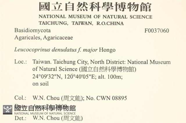 登錄號:F0037060藏品圖，第2張