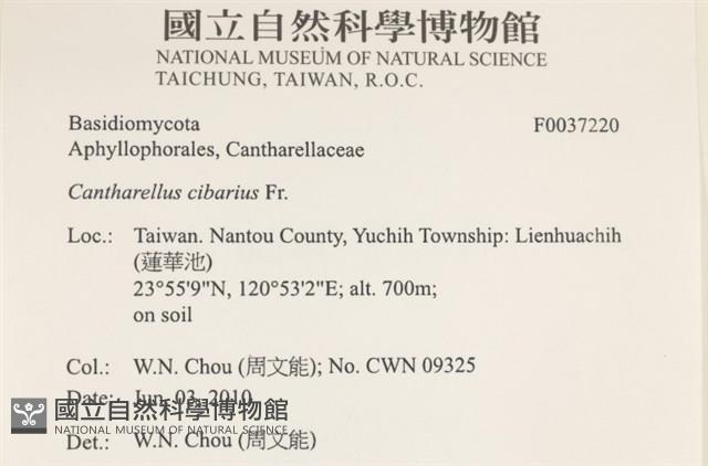 登錄號:F0037220藏品圖，第2張