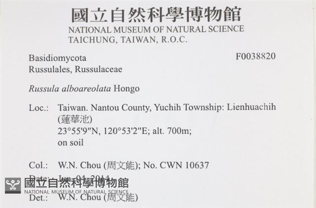 登錄號:F0038820藏品圖，第2張