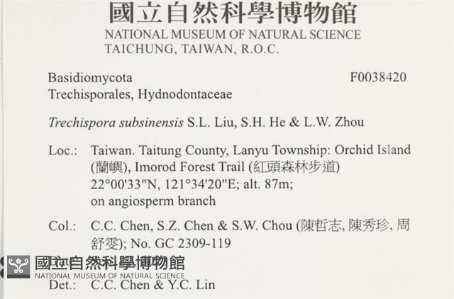 登錄號:F0038420藏品圖，第2張