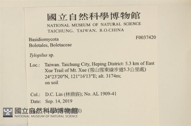 登錄號:F0037420藏品圖，第2張