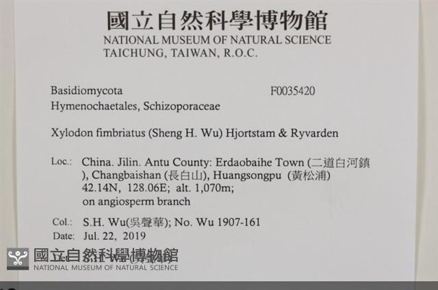 登錄號:F0035420藏品圖，第2張
