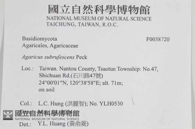 登錄號:F0038720藏品圖，第2張