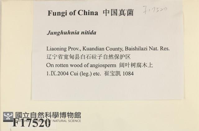 登錄號:F0017520藏品圖，第2張