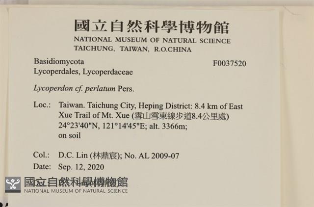 登錄號:F0037520藏品圖，第2張