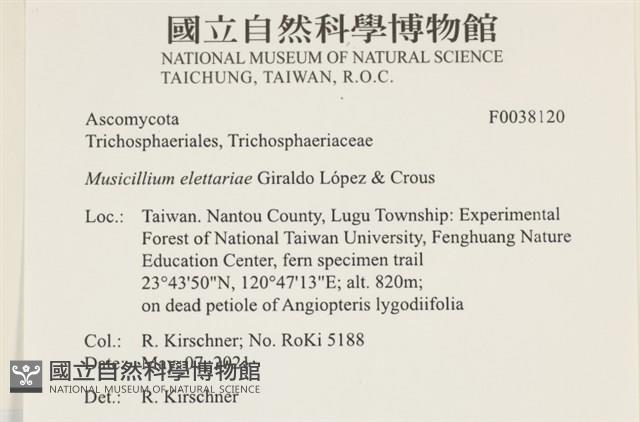 登錄號:F0038120藏品圖，第2張