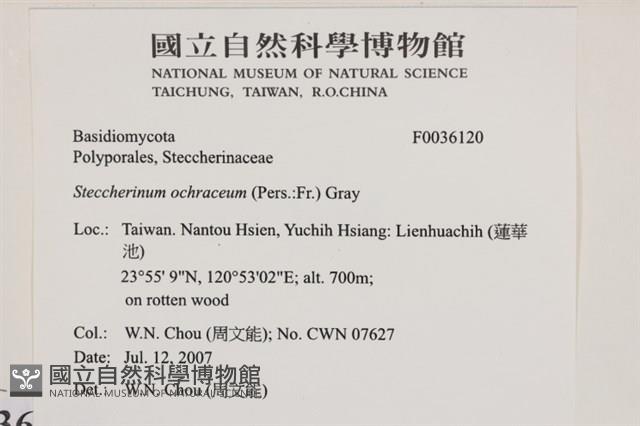 登錄號:F0036120藏品圖，第2張