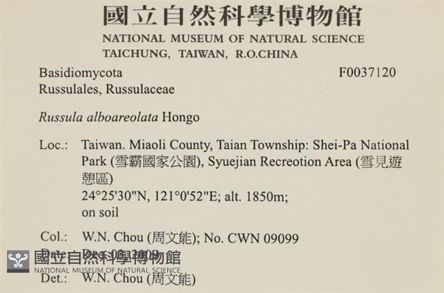 登錄號:F0037120藏品圖，第2張