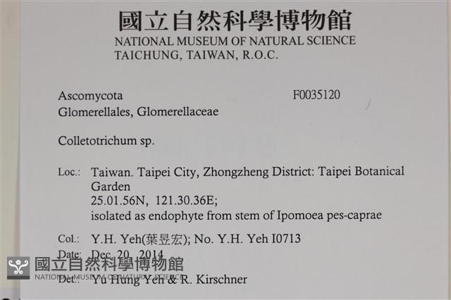 登錄號:F0035120藏品圖，第2張