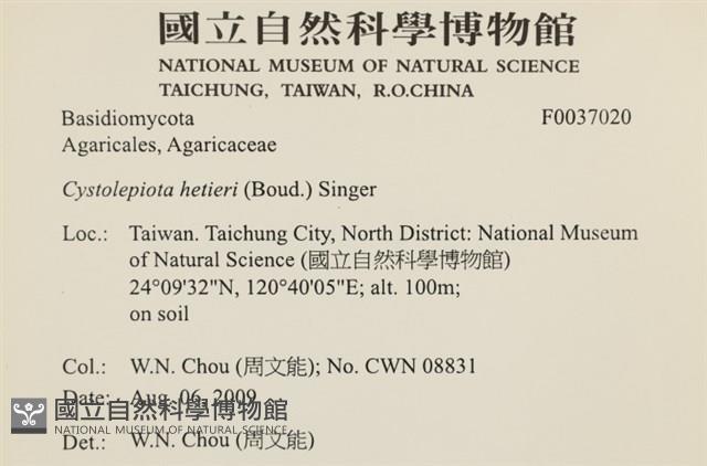 登錄號:F0037020藏品圖，第2張