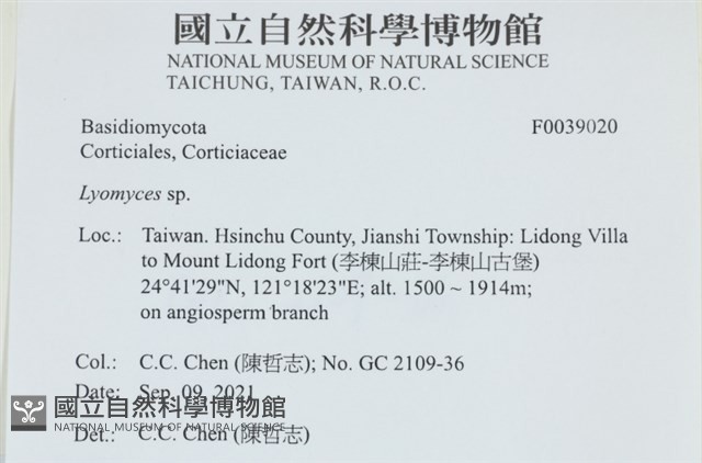 登錄號:F0039020藏品圖，第2張