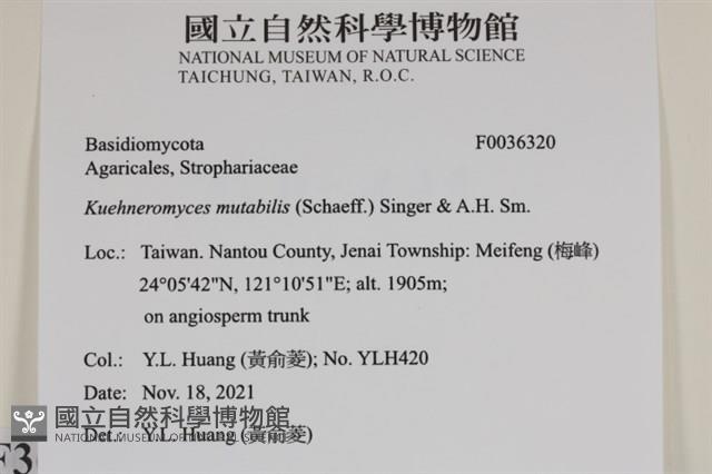 登錄號:F0036320藏品圖，第2張