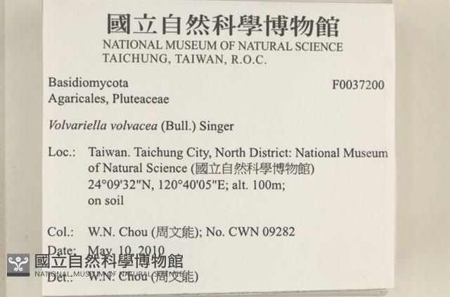 登錄號:F0037200藏品圖，第2張