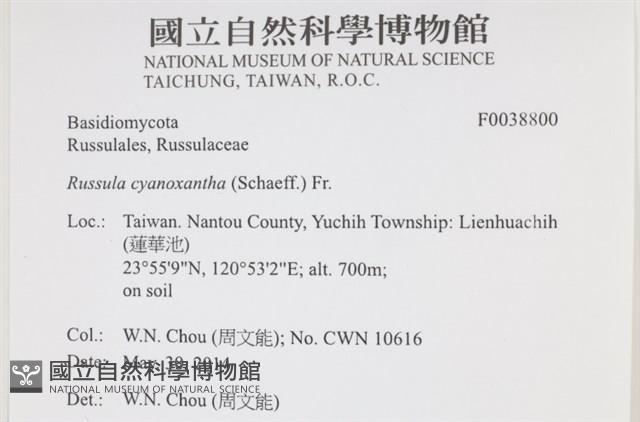 登錄號:F0038800藏品圖，第2張