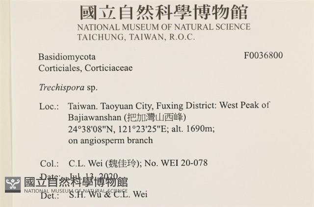 登錄號:F0036800藏品圖，第3張