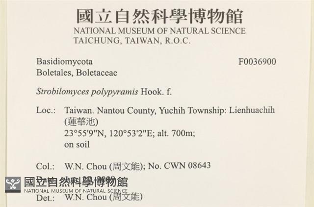 登錄號:F0036900藏品圖，第2張