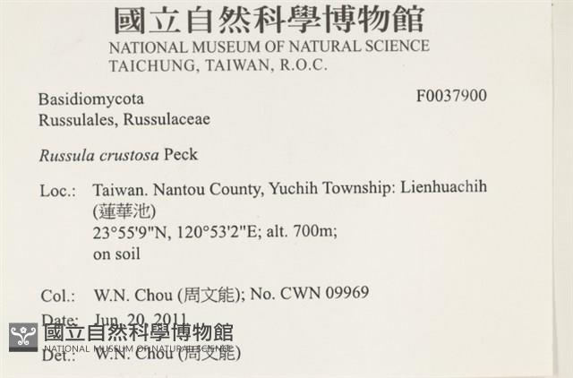 登錄號:F0037900藏品圖，第2張
