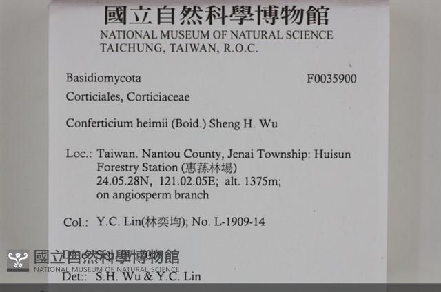 登錄號:F0035900藏品圖，第2張