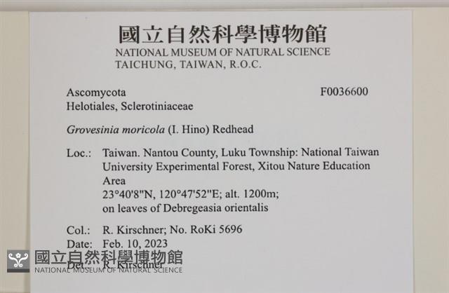 登錄號:F0036600藏品圖，第2張