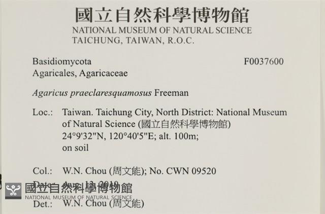 登錄號:F0037600藏品圖，第2張