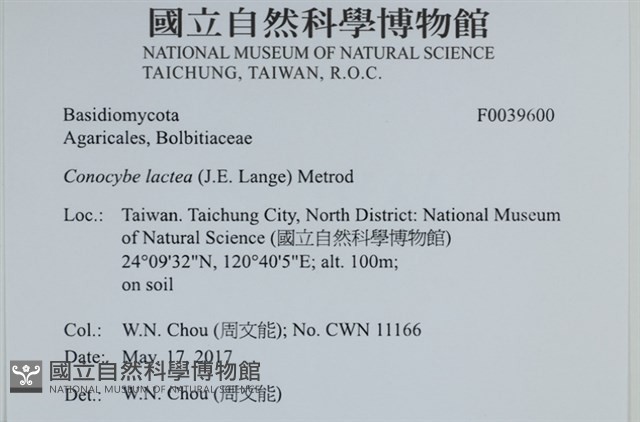 登錄號:F0039600藏品圖，第2張