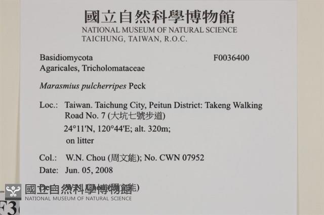 登錄號:F0036400藏品圖，第2張