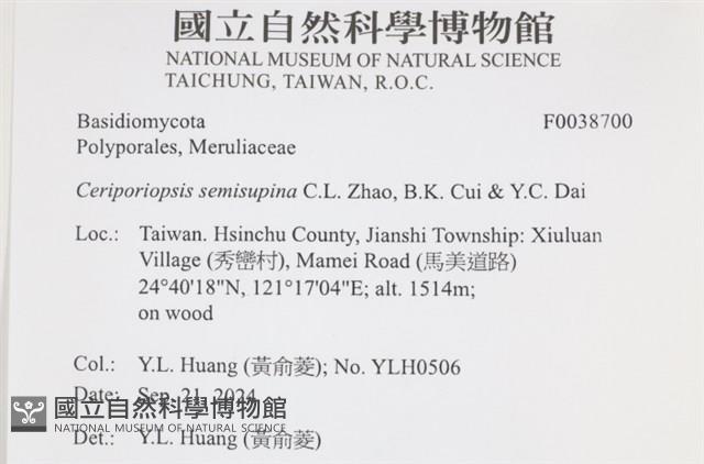 登錄號:F0038700藏品圖，第2張