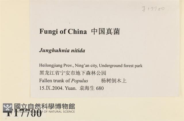 登錄號:F0017700藏品圖，第2張