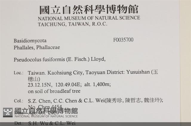 登錄號:F0035700藏品圖，第2張