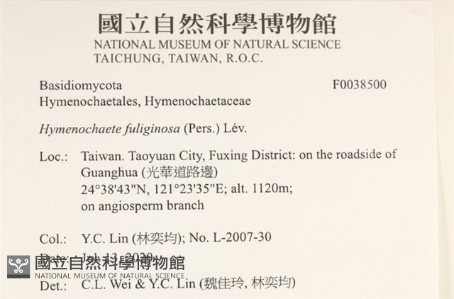 登錄號:F0038500藏品圖，第2張