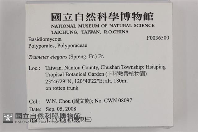 登錄號:F0036500藏品圖，第2張