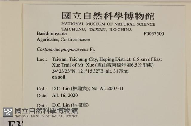 登錄號:F0037500藏品圖，第2張